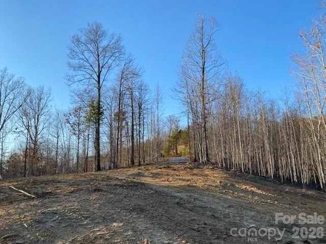 0 Osprey Lane Nebo, NC 28761