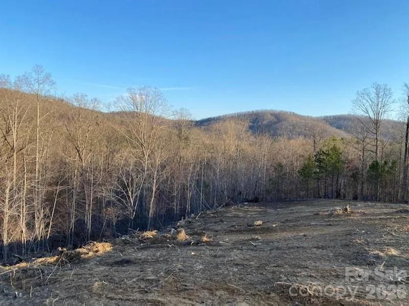 0 Osprey Lane Nebo, NC 28761