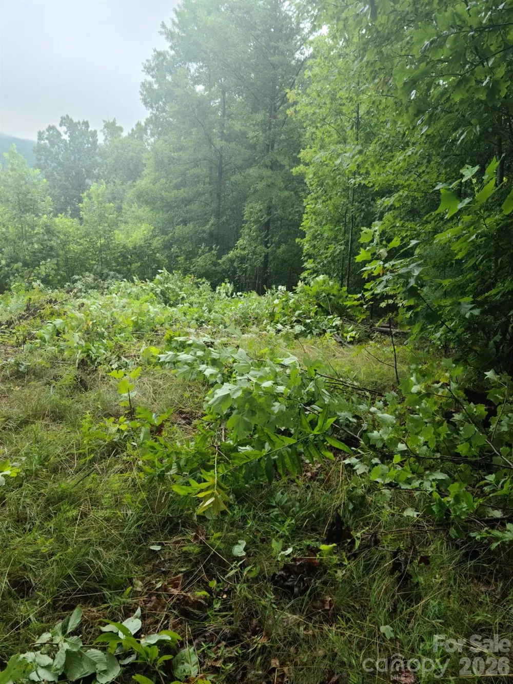 0 Osprey Lane Nebo, NC 28761