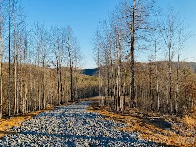 0 Osprey Lane Nebo, NC 28761