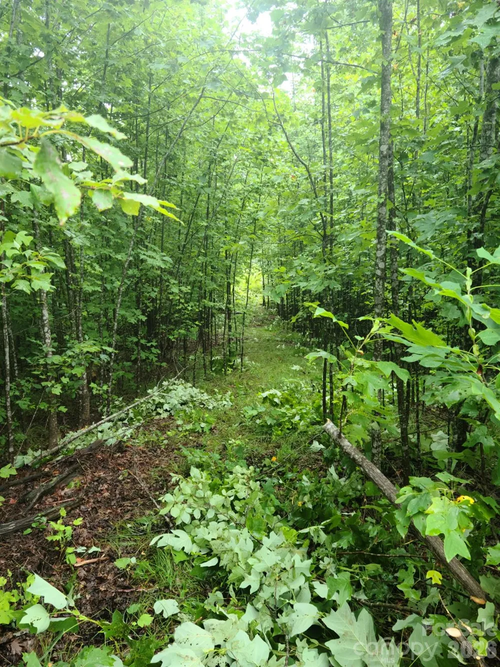 0 Osprey Lane Nebo, NC 28761