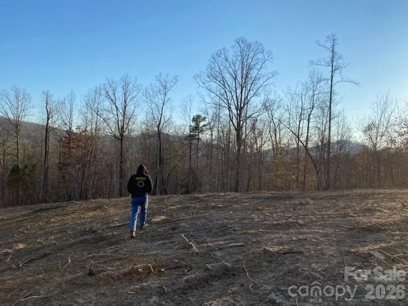 0 Osprey Lane Nebo, NC 28761
