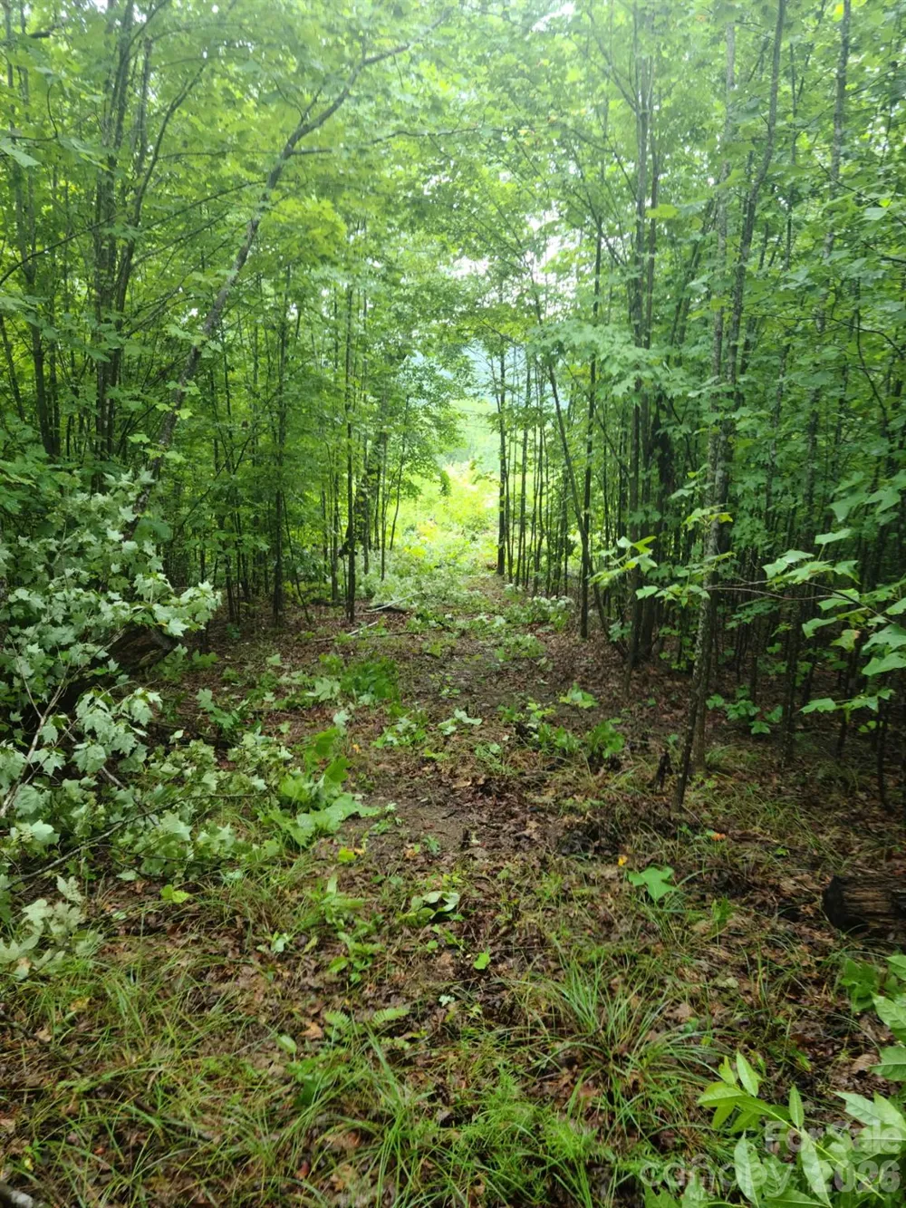 0 Osprey Lane Nebo, NC 28761