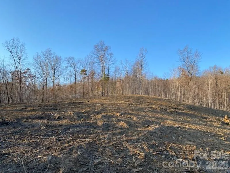 0 Osprey Lane Nebo, NC 28761