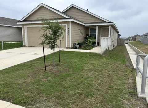 9227 Honey Mesquite