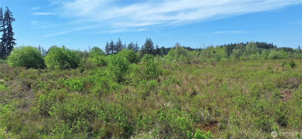 123 Meier Road Winlock, WA 98596