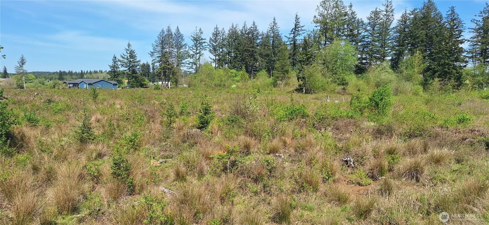 123 Meier Road Winlock, WA 98596