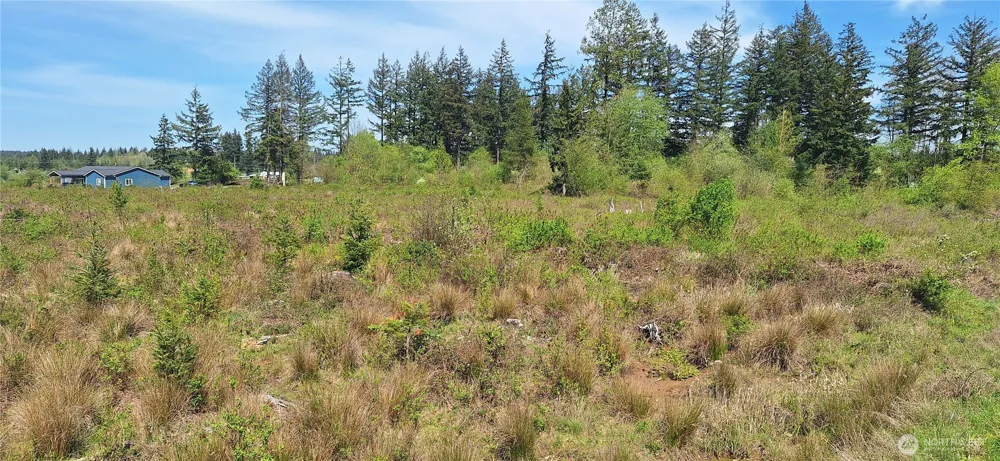 123 Meier Road Winlock, WA 98596