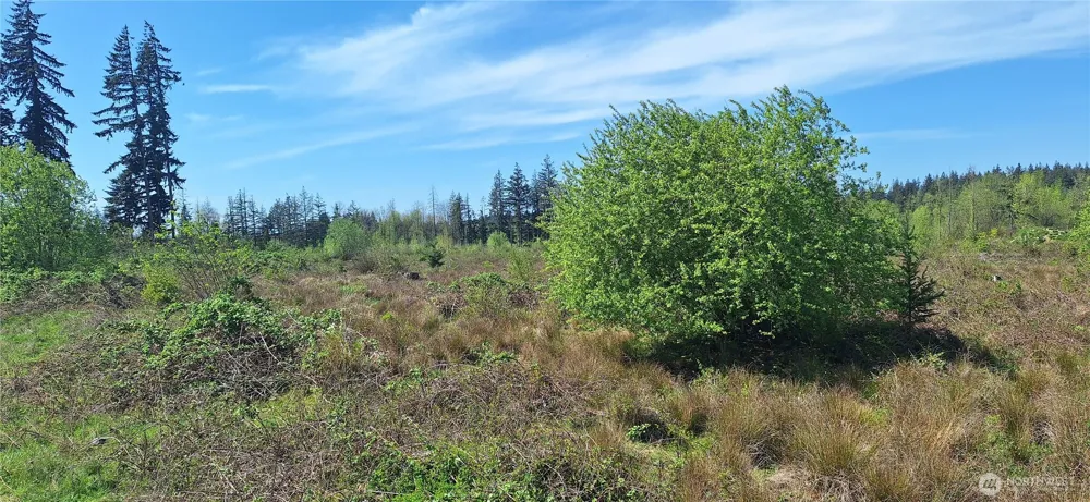 123 Meier Road Winlock, WA 98596