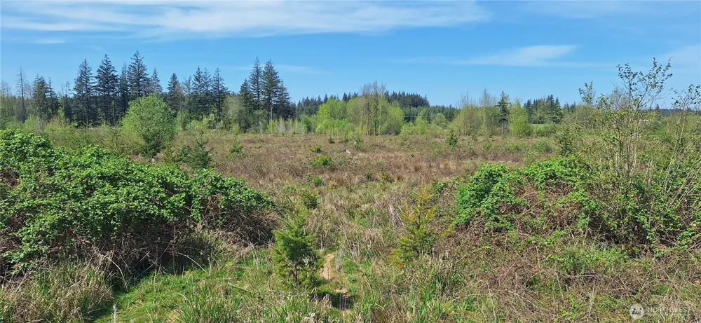 123 Meier Road Winlock, WA 98596