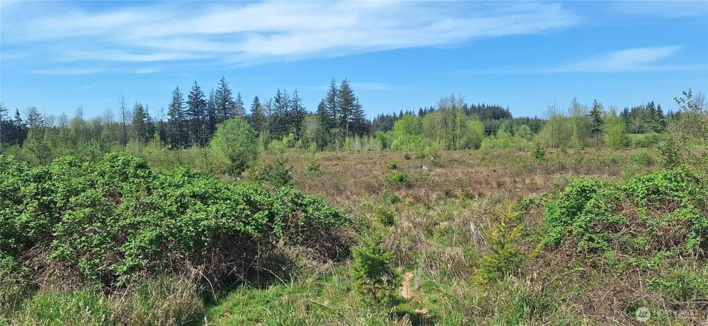 123 Meier Road Winlock, WA 98596
