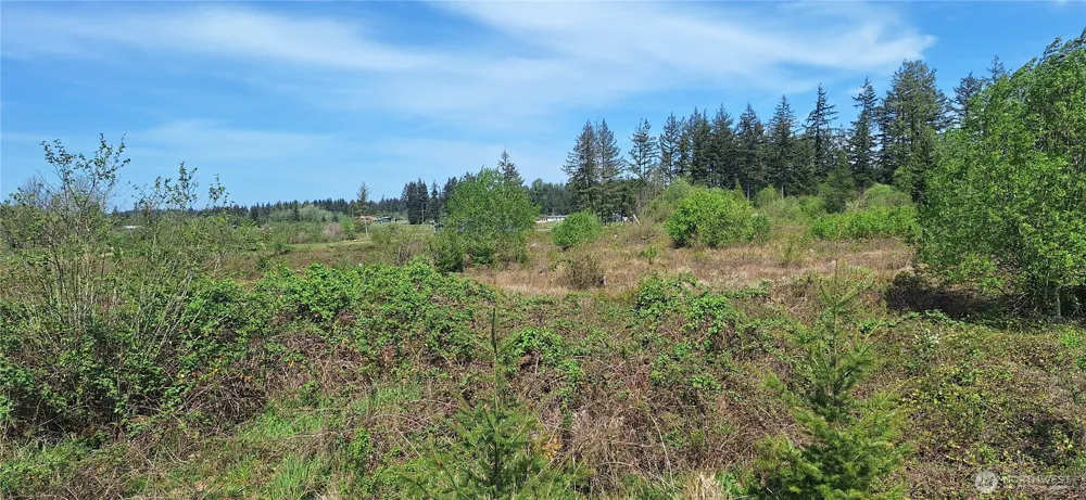 123 Meier Road Winlock, WA 98596