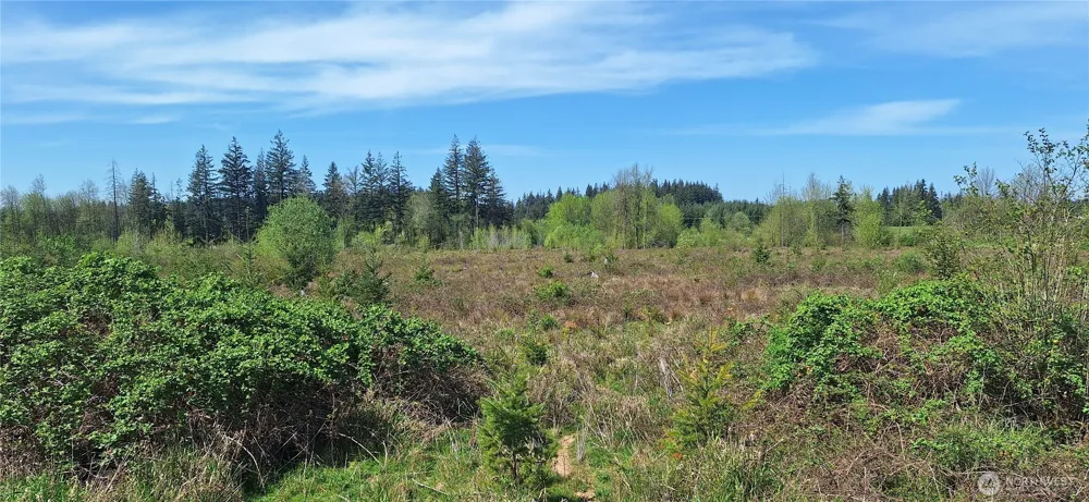 123 Meier Road Winlock, WA 98596