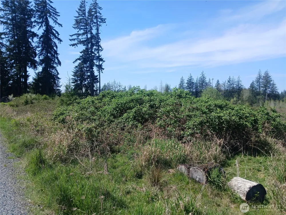 123 Meier Road Winlock, WA 98596