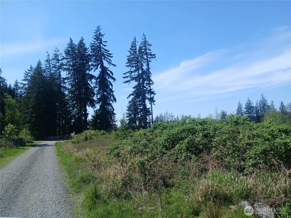 123 Meier Road Winlock, WA 98596