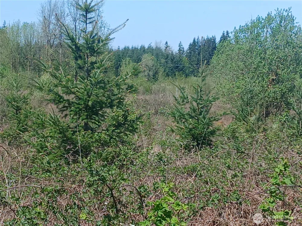 123 Meier Road Winlock, WA 98596
