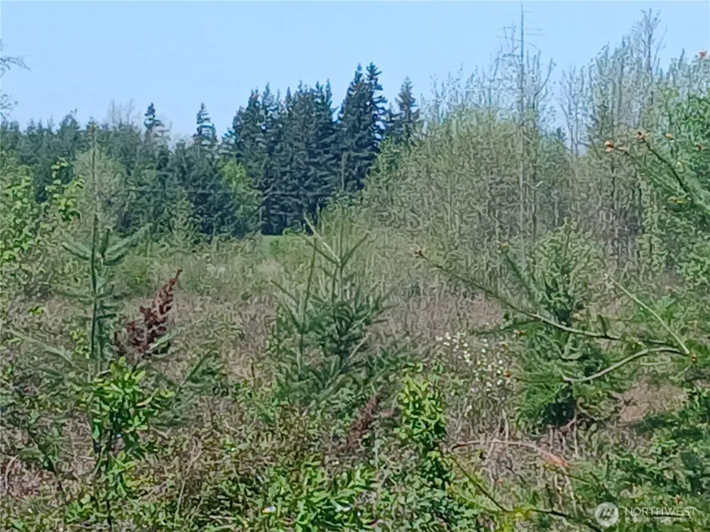 123 Meier Road Winlock, WA 98596