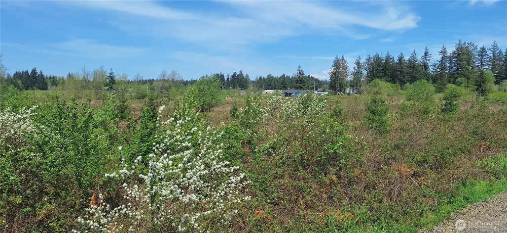 123 Meier Road Winlock, WA 98596