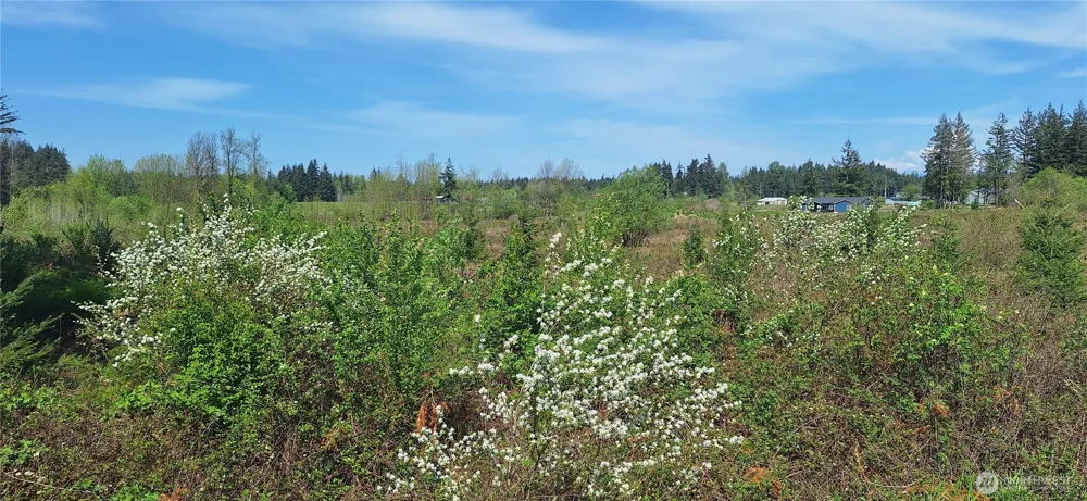 123 Meier Road Winlock, WA 98596