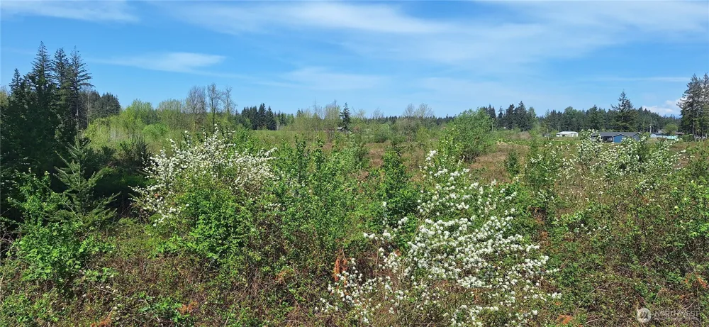 123 Meier Road Winlock, WA 98596