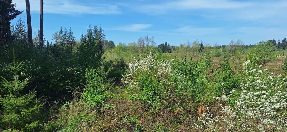 123 Meier Road Winlock, WA 98596
