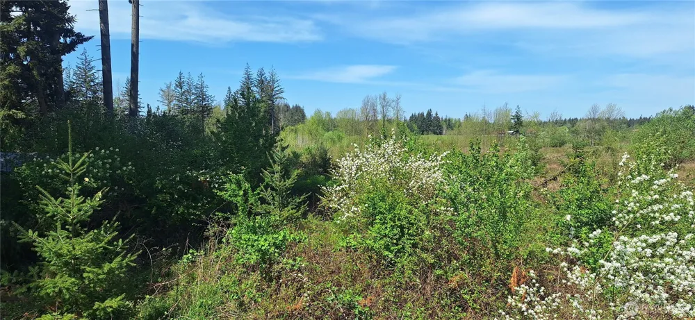 123 Meier Road Winlock, WA 98596
