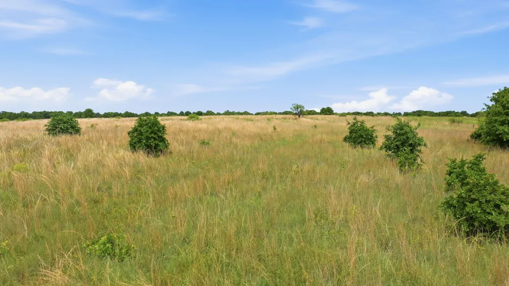 2051 Mustang Ridge Perrin, TX 76486