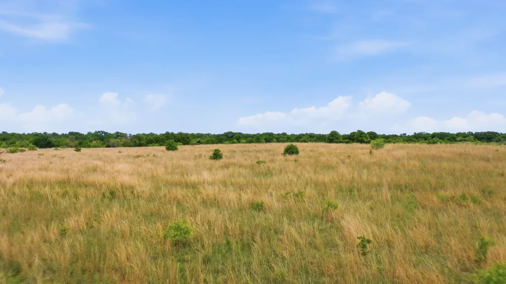 2051 Mustang Ridge Perrin, TX 76486