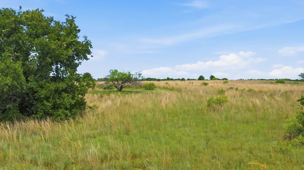 2051 Mustang Ridge Perrin, TX 76486