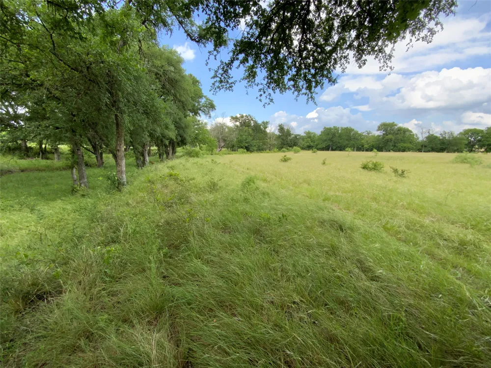 Twisted Creek Drive Gustine, TX 76455