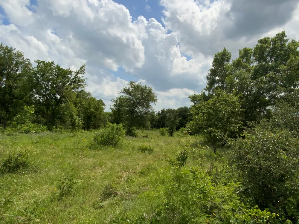 Twisted Creek Drive Gustine, TX 76455