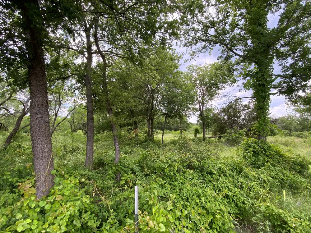 Twisted Creek Drive Gustine, TX 76455