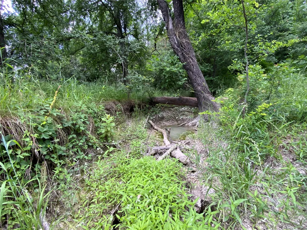 Twisted Creek Drive Gustine, TX 76455