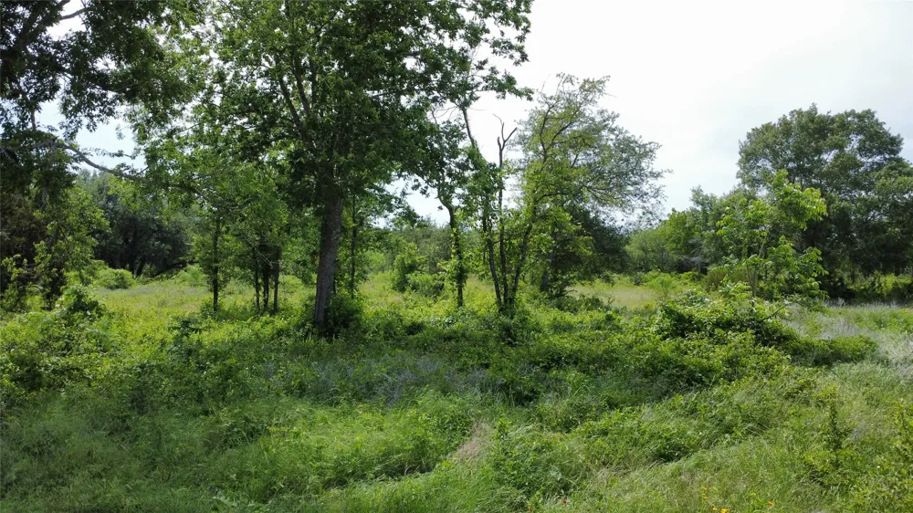 Twisted Creek Drive Gustine, TX 76455