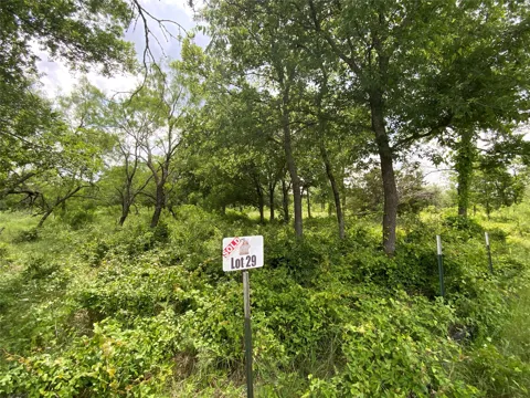 Twisted Creek Drive