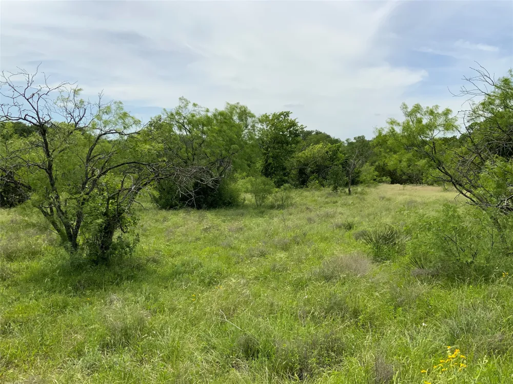 Twisted Creek Drive Gustine, TX 76455