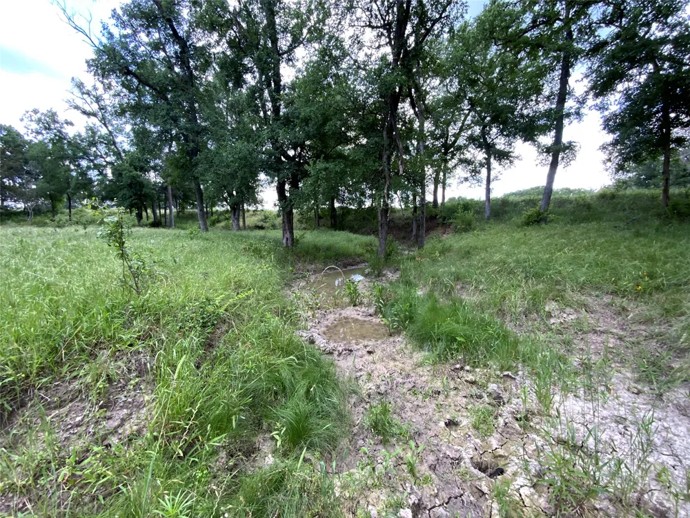 Twisted Creek Drive Gustine, TX 76455