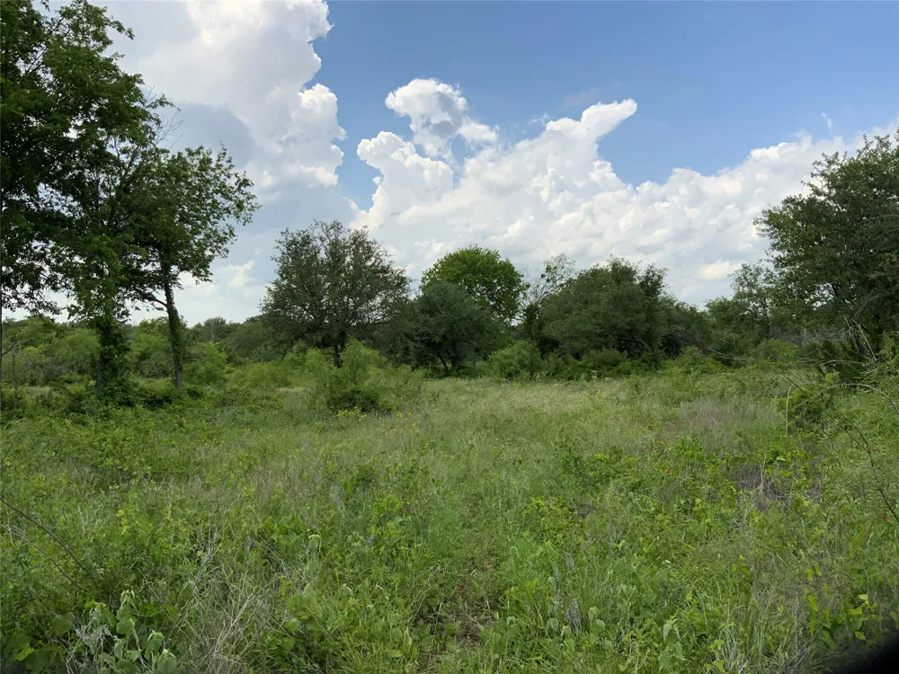 Twisted Creek Drive Gustine, TX 76455