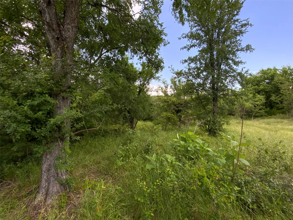 Twisted Creek Drive Gustine, TX 76455