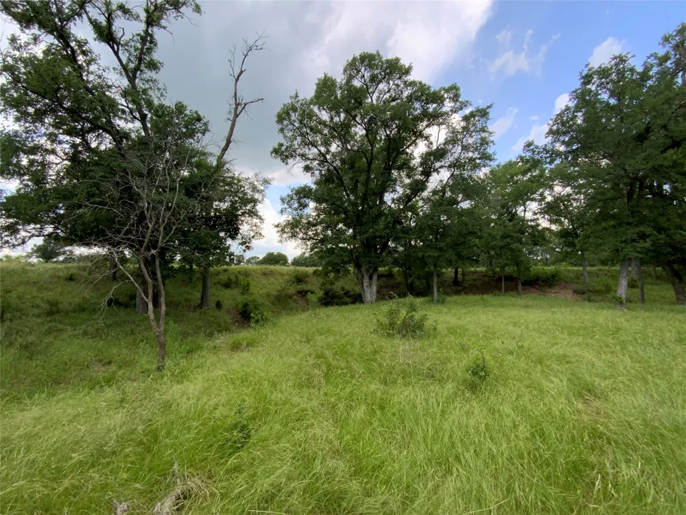 Twisted Creek Drive Gustine, TX 76455