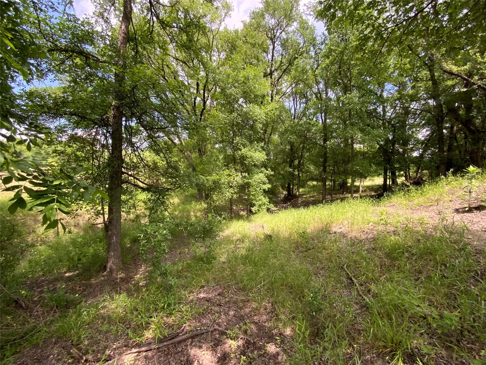 Twisted Creek Drive Gustine, TX 76455