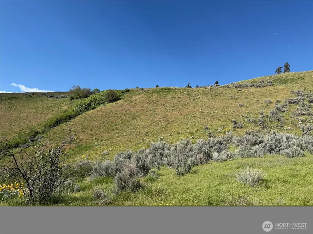 0 Tyee View Loop Waterville, WA 98858
