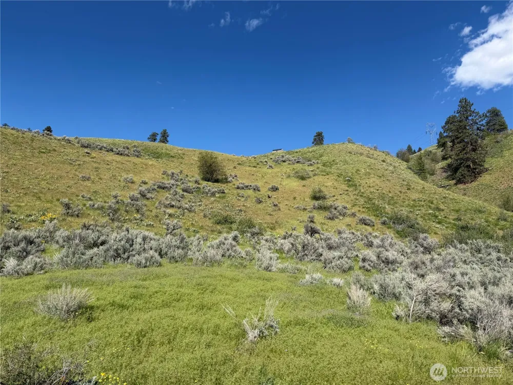 0 Tyee View Loop Waterville, WA 98858