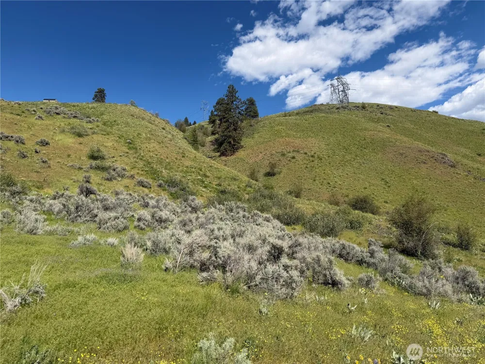 0 Tyee View Loop Waterville, WA 98858
