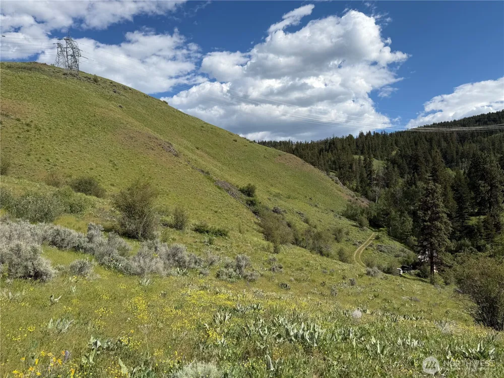 0 Tyee View Loop Waterville, WA 98858
