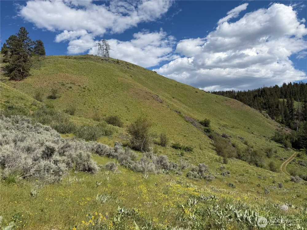 0 Tyee View Loop Waterville, WA 98858