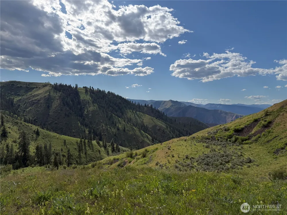 0 Tyee View Loop Waterville, WA 98858