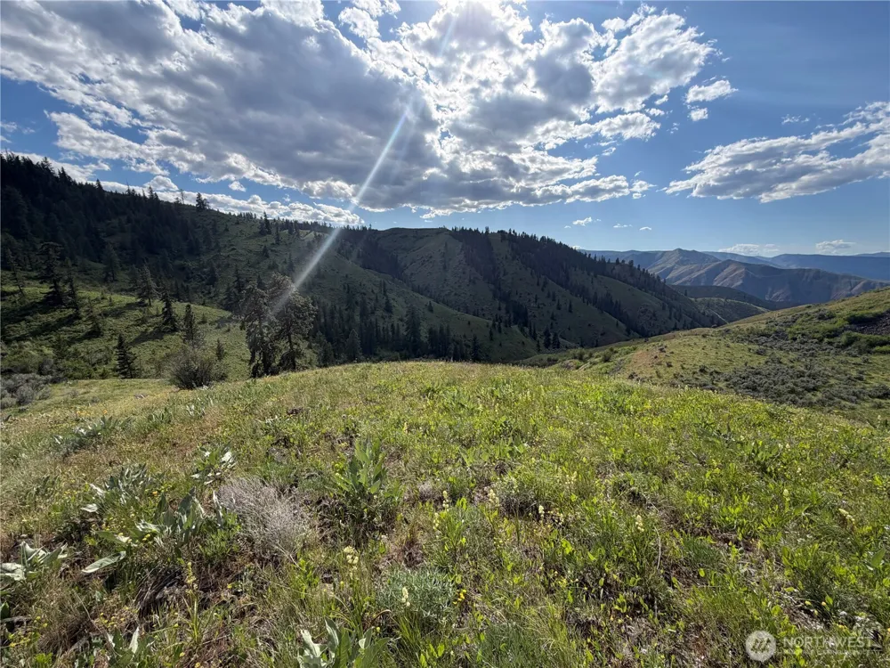0 Tyee View Loop Waterville, WA 98858