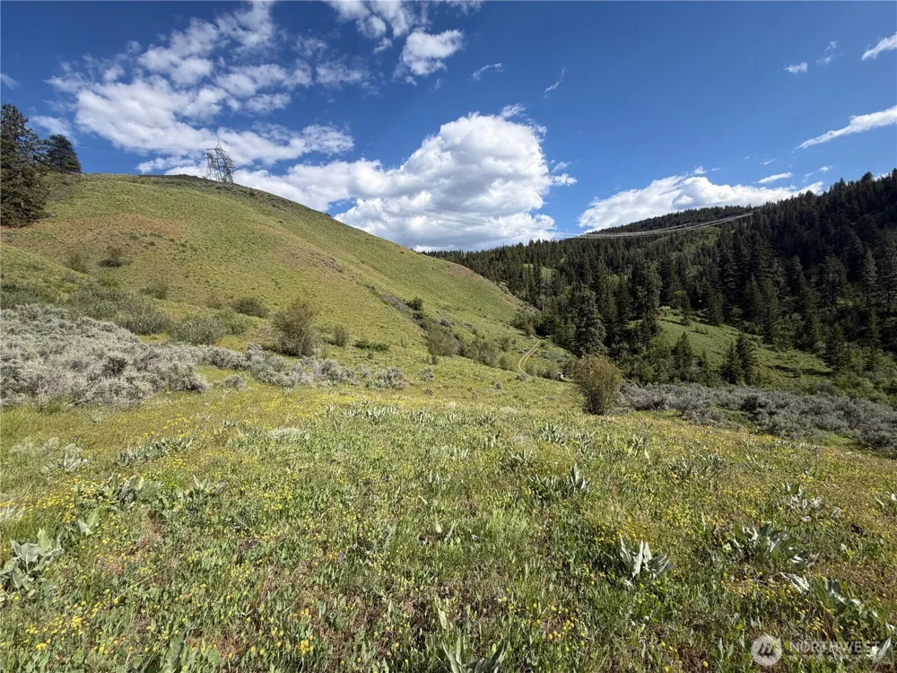 0 Tyee View Loop Waterville, WA 98858