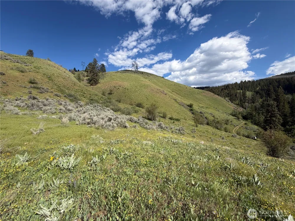 0 Tyee View Loop Waterville, WA 98858